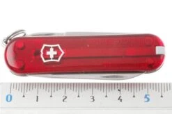 Victorinox - Signature Rubin 13 Victorinox - Signature Rubin -Victorinox VT 06225T 06 victorinox 0 6225 t signature rubin d6