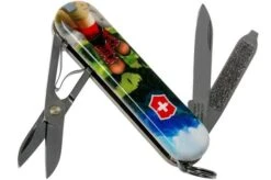 Victorinox Classic SD I Love Hiking Limited Edtion 2020 0-6223-L2002 Swiss Pocket Knife