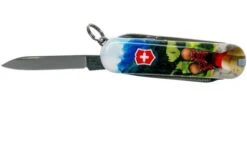 Victorinox Classic SD I Love Hiking Limited Edtion 2020 0-6223-L2002 Swiss Pocket Knife -Victorinox VT0 6223 L2002 03 victorinox