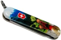 Victorinox Classic SD I Love Hiking Limited Edtion 2020 0-6223-L2002 Swiss Pocket Knife -Victorinox VT0 6223 L2002 04 victorinox