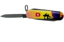 Victorinox Classic SD Climb High Limited Edtion 2020 0-6223-L2004 Swiss Pocket Knife 10 Victorinox Classic SD Climb High Limited Edtion 2020 0-6223-L2004 Swiss Pocket Knife -Victorinox VT0 6223 L2004 03 victorinox
