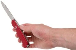 Victorinox Cheese Knife 0.8303.W Swiss Pocket Knife 12 Victorinox Cheese Knife 0.8303.W Swiss Pocket Knife -Victorinox VT0 8303 W 05 victorinox 1