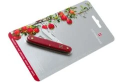 Victorinox Budding Knife Combi S 3.9040.B1 Red -Victorinox VT3 9040 B1 07 victorinox