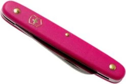 Victorinox Floral Knife 3.9050.53B1 Pink 12 Victorinox Floral Knife 3.9050.53B1 Pink -Victorinox VT3 9050 53B1 04 victorinox 1