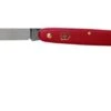 Victorinox Floral Knife 3.9050.B1 Red -Victorinox VT3 9050 B1 01 victorinox