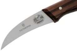 Victorinox Wood 5.3100 Turning Knife, 6 Cm 9 Victorinox Wood 5.3100 Turning Knife, 6 Cm -Victorinox VT5 3100 03 victorinox 1
