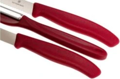 Victorinox SwissClassic Vegetable Knives In Red, Set Of 3, 6.7111.31 10 Victorinox SwissClassic Vegetable Knives In Red, Set Of 3, 6.7111.31 -Victorinox VT6 7111 31 04 victorinox vt6 7111 31 04