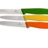 Victorinox SwissClassic Vegetable Knife Set, Set Of 3, 6.7116.31G 1 Victorinox SwissClassic Vegetable Knife Set, Set Of 3, 6.7116.31G -Victorinox VT6 7116 31G 01 victorinox vt6 7116 31g 01