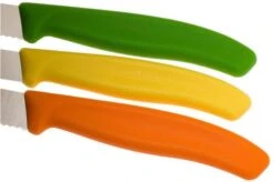 Victorinox SwissClassic Vegetable Knife Set, Set Of 3, 6.7116.31G 11 Victorinox SwissClassic Vegetable Knife Set, Set Of 3, 6.7116.31G -Victorinox VT6 7116 31G 04 victorinox vt6 7116 31g 04