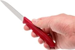 Victorinox SwissClassic Vegetable Knife Set, Set Of 3 6.7116.32 11 Victorinox SwissClassic Vegetable Knife Set, Set Of 3 6.7116.32 -Victorinox VT6 7116 32 05 victorinox vt6 7116 32 05