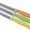 Victorinox SwissClassic 6.7116.34L2 3-piece Vegetable Knife Set 2 Victorinox SwissClassic 6.7116.34L2 3-piece Vegetable Knife Set -Victorinox VT6 7116 34L2 01 victorinox