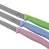 Victorinox SwissClassic 6.7116.34L3 3-piece Vegetable Knife Set -Victorinox VT6 7116 34L3 01 victorinox