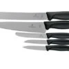 Victorinox SwissClassic 6.7133.5G 5-piece Kitchen Knife Set, Black