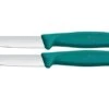 Victorinox Swiss Classic 6.7604.2C1 Straight, Green, Set Of 2 Vegetable Knives, 8 Cm 1 Victorinox Swiss Classic 6.7604.2C1 Straight, Green, Set Of 2 Vegetable Knives, 8 Cm -Victorinox VT6 7604 2C1 01 victorinox