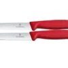 Victorinox Swiss Classic 6.7791.2C1 Straight/Wavy, Red, Set Of 2 Vegetable Knives, 10 Cm -Victorinox VT6 7791 2C1 01 victorinox