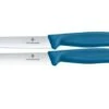 Victorinox Swiss Classic 6.7792.2C1 Straight/Wavy, Blue, Set Of 2 Vegetable Knives, 10 Cm 1 Victorinox Swiss Classic 6.7792.2C1 Straight/Wavy, Blue, Set Of 2 Vegetable Knives, 10 Cm -Victorinox VT6 7792 2C1 01 victorinox