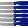 Victorinox SwissClassic 6.7832.6, 6-piece Tomato Knife Set, Blue 2 Victorinox SwissClassic 6.7832.6, 6-piece Tomato Knife Set, Blue -Victorinox VT6 7832 6 01 victorinox