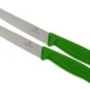 Victorinox Swissclassic Pizza/steak Knife Green, Set Of 2, 6.7936.12L4B 1 Victorinox Swissclassic Pizza/steak Knife Green, Set Of 2, 6.7936.12L4B -Victorinox VT6 7936 12L4B 01 victorinox steakmes groen vt vt6 7936 12l4b 01 1