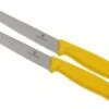 Victorinox Swissclassic Pizza/steak Knife Yellow, Set Of 2, 6.7936.12L8B 1 Victorinox Swissclassic Pizza/steak Knife Yellow, Set Of 2, 6.7936.12L8B -Victorinox VT6 7936 12L8B 01 victorinox steakmes geel vt vt6 7936 12l8b 01
