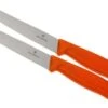Victorinox Swissclassic Pizza/steak Knife Orange, Set Of 2, 6.7936.12 L9B