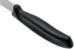 Victorinox SwissClassic 6.8633.21G Bread Knife Black 21 Cm -Victorinox VT6 8633 21G 04 victorinox 1