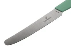 Victorinox Swiss Modern 6.9006.1141 Table Knife 11 Cm, Mint Green -Victorinox VT6 9006 1141 03 victorinox