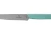 Victorinox Swiss Modern 6.9006.12W41 Steak Knife 12 Cm, Green 1 Victorinox Swiss Modern 6.9006.12W41 Steak Knife 12 Cm, Green -Victorinox VT6 9006 12W41 01 victorinox