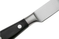 Victorinox Grand Maître Filleting Knife 7.7213.20G, POM, Filleting Knife, 20 Cm -Victorinox VT7 7213 20G 05 victorinox